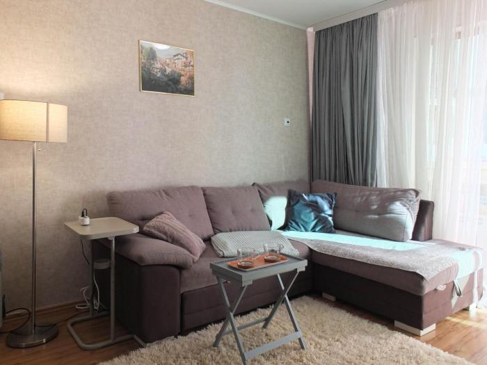 The snug apartment near the brimming mountains