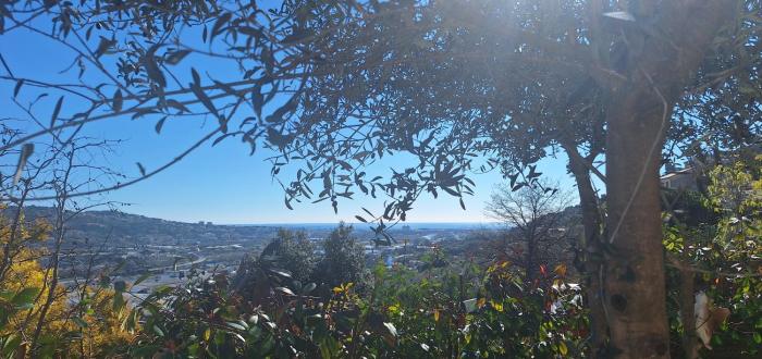 Chambres dhôtes DAQUI DAIA