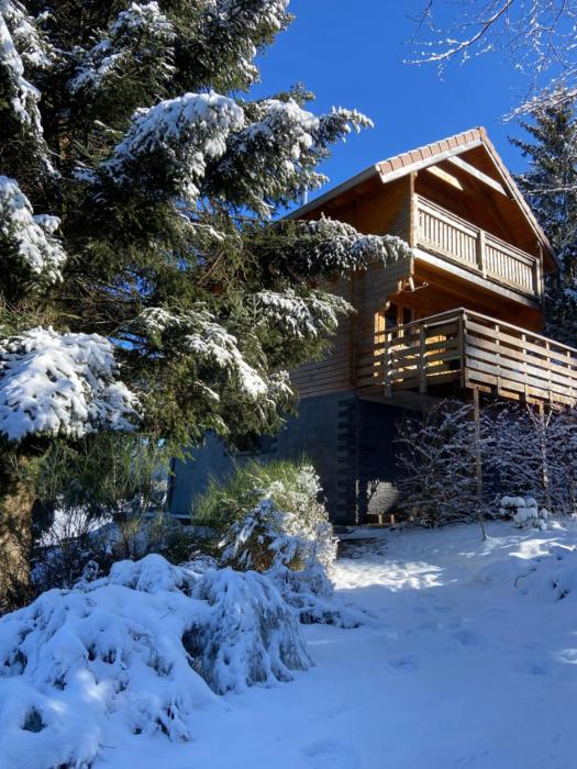 Chalet authentique au calme, en lisière de forêt, montagne, sentiers 15mn Gérardmer & Alsace "Chalet Mon beau sapin"