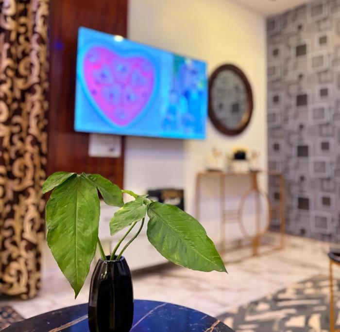 3BHK apartment with the terrace