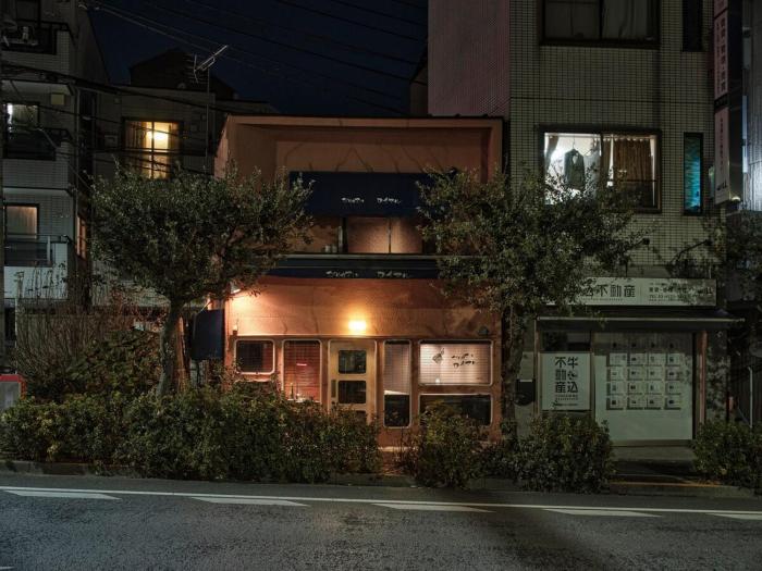 Tokyo Skyline Hideaway