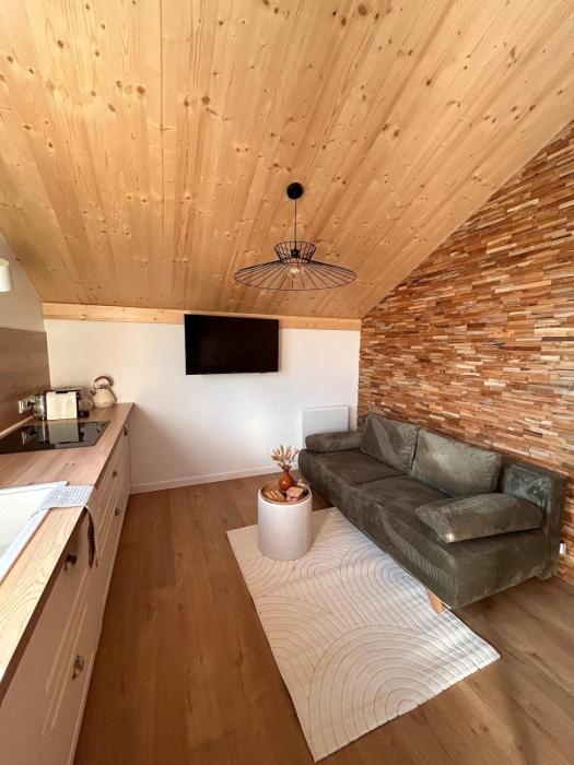 Le Mélèze, chaleureux appartement 4pers près de Genève & Annecy