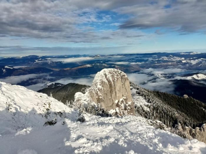 Palazzo Transylvania-Bran