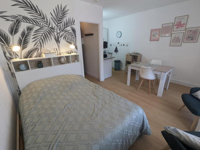Studio Rue Castellane pour Cure ou Tourisme Vert à 2 min des Thermes