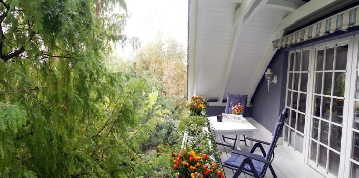 Eine Oase im Grünen