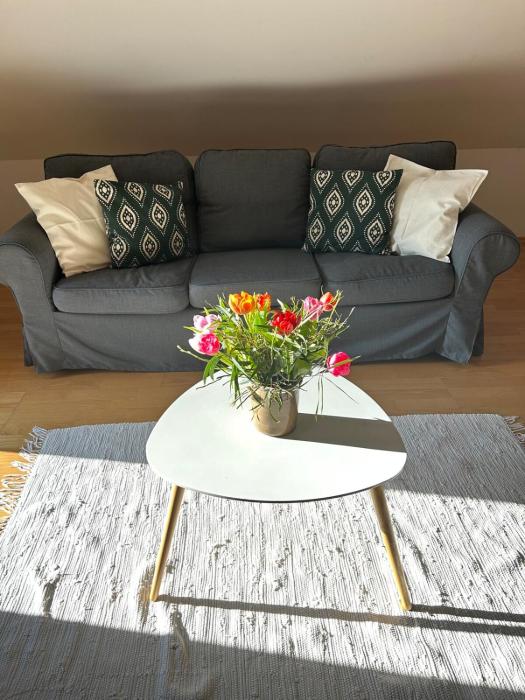 Große Wohnung mit Dachterrasse in Starnberg