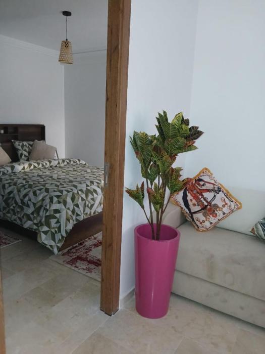 marrakech semlalia gueliz