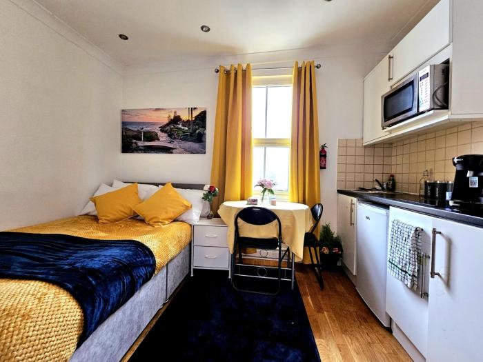 Elegant Spacious Studio Apartment in London