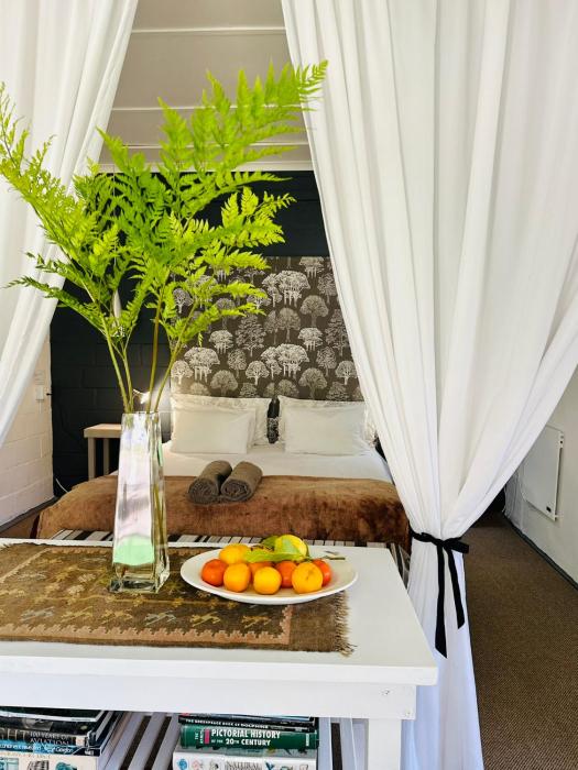 Agapanthus garden cottage