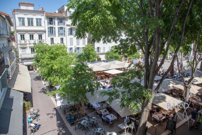 heart of the old town in Antibes