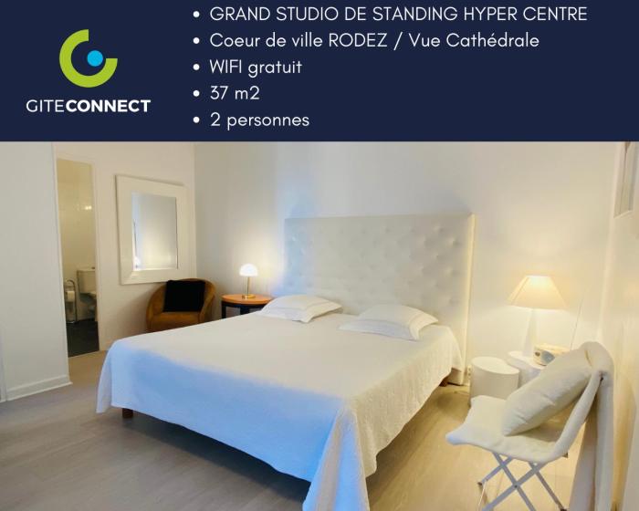 GRAND STUDIO DE STANDING HYPER Centre