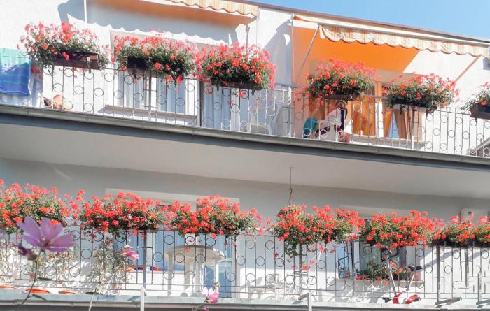 Awesome Apartment In Dziwnów With Wifi