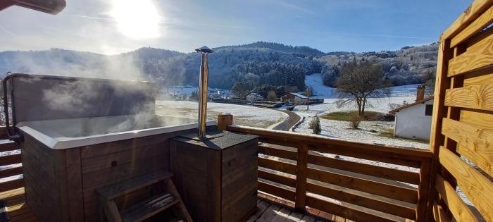 Gite spa atypique, Vosges, chez Bubu, école rénovée bain nordique et nature