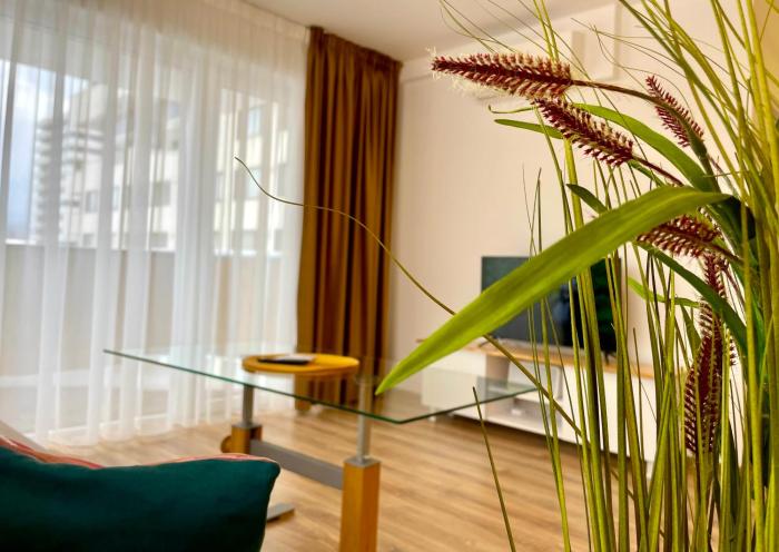 Carpatilor Urban Escape Studio: Free Parking & AC