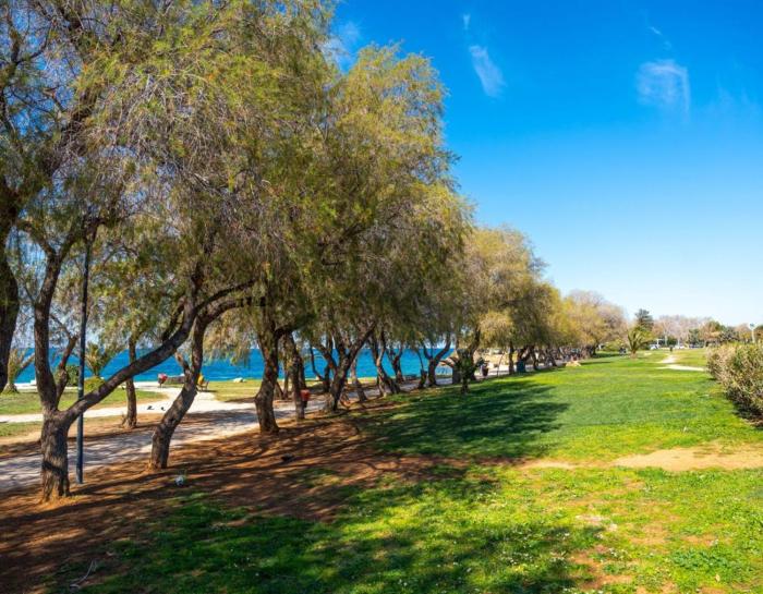 Elenis cozy environment