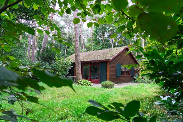 Prachtige chalets by Bed en Boshuisjes