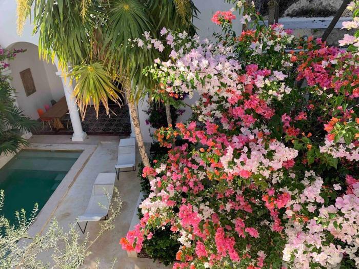 Villa Leonie in Merida, Yucatan