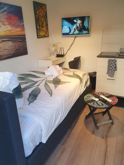 Cozy Garden House kijkduin Beach