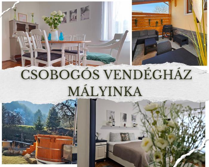 Csobogós Vendégház Mályinka