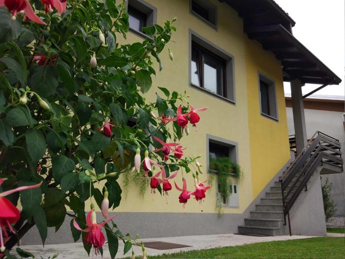 Ferienwohnung Mit Eigener Sonnenterrasse