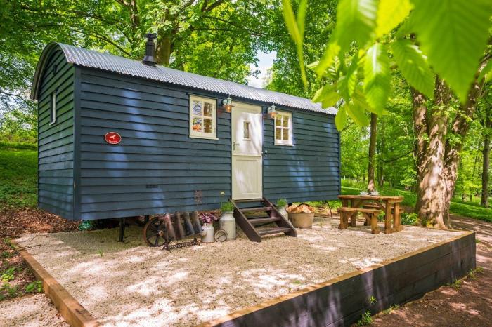 Pansy-Shepherds Hut, Henley on Thames