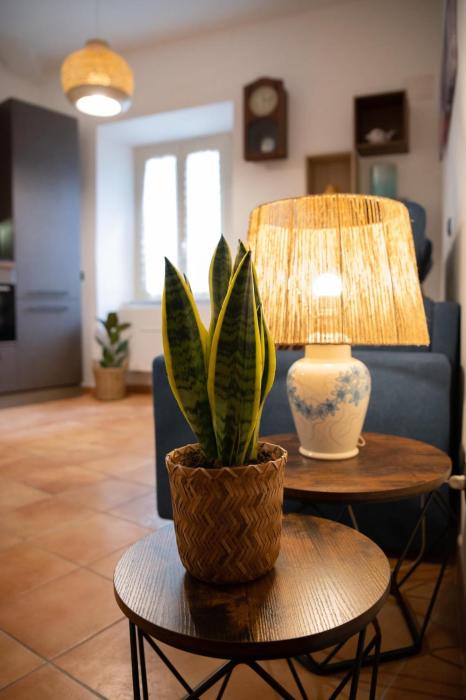 Wonderful in the historic center La Scoletta