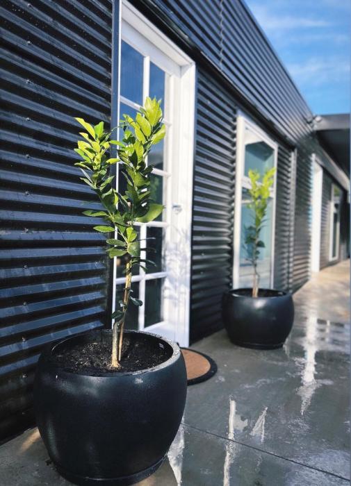 Hidden Haven - Urban Oasis - Secret Space - Off-street parking