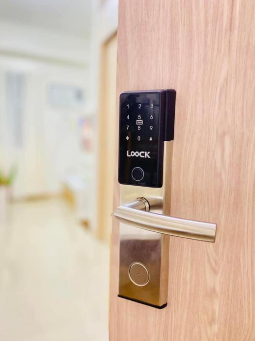 Staycation by Mailine