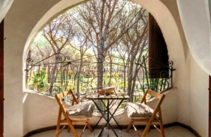 Mare in pineta a due passi dal mare