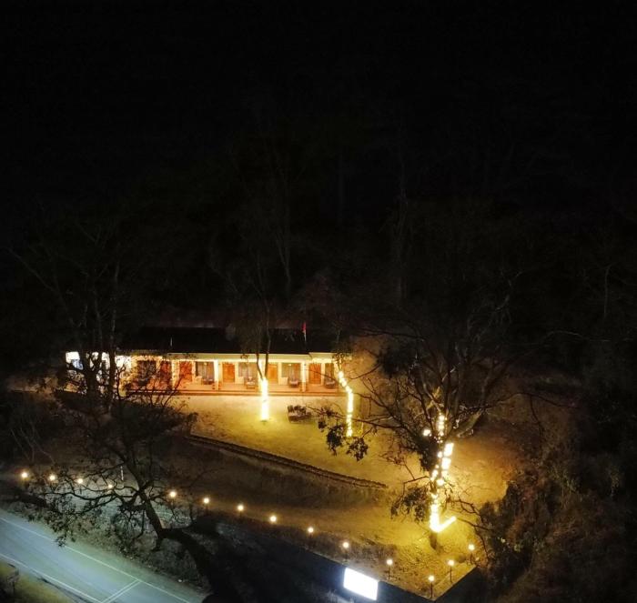 The forest trail by lake & woods