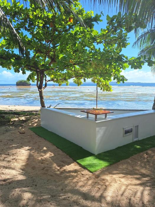 Remys Eco house
