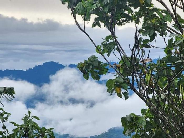Matagalpa 4 Bed House Land of Dreams-La Tierra