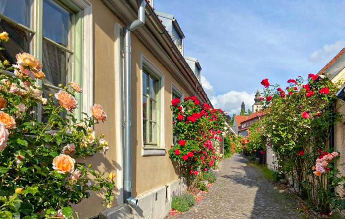 Awesome Apartment In Visby With Wifi