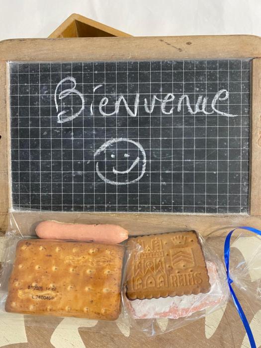 appart studio RDC de maison avec extérieur proche Reims