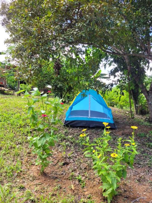 Nosso Quintal Candeias - Camping