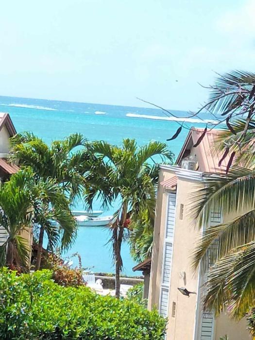 Le Dauphin - Vu mer accès plage à pied