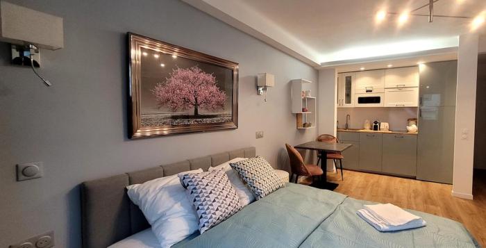 Cozy studio in the heart of Cannes