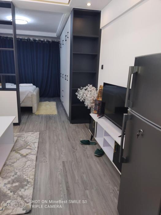 Alina ridge apartments