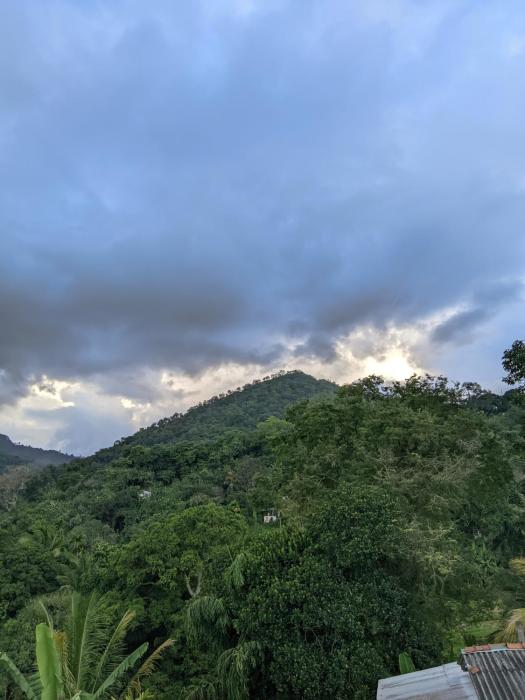 Rich Secret Rooms Ella