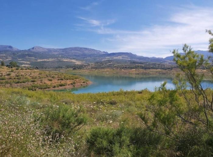 Cozy room in Periana