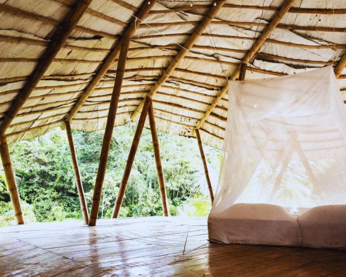 Blue Dot - jungle eco hostel