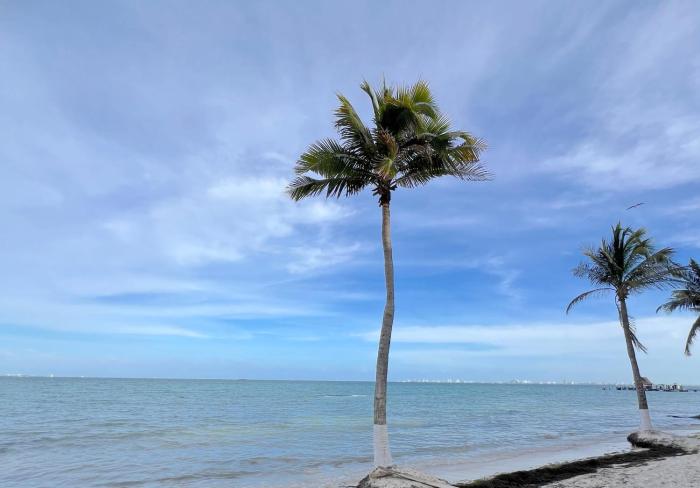 Condominiums By The Sea