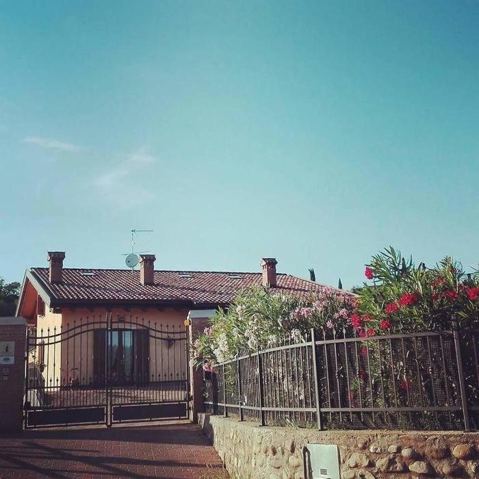 Il rifugio del Gatto Moro