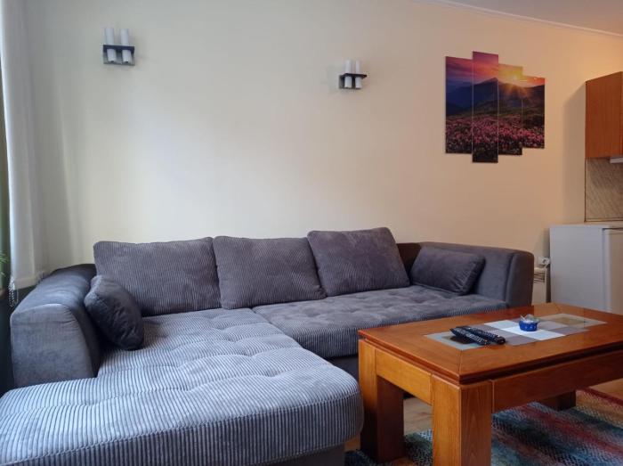 Pine Tree Apartment 3 - B3