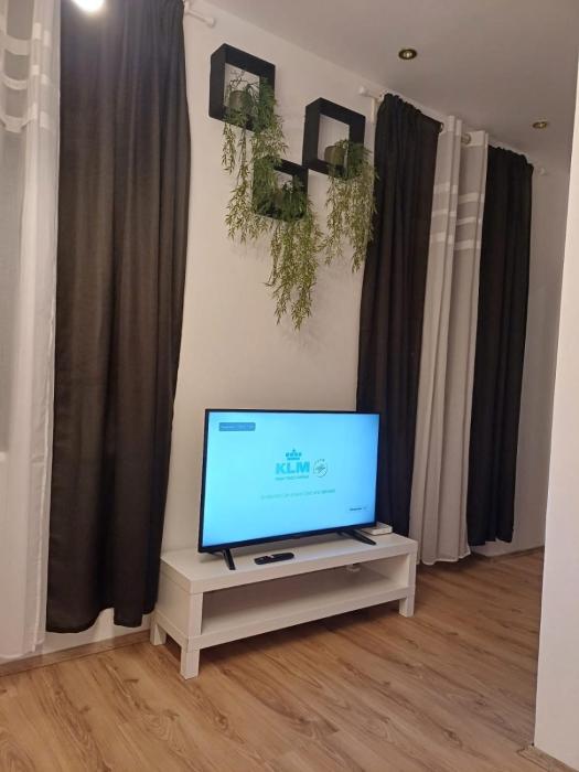 Apartment vis á vis Schönbrunn with private parking