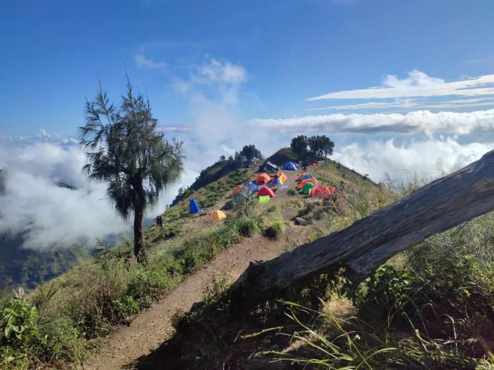 2Days Shared Camping At Mount Rinjani