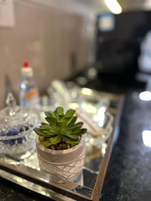 Um sonho de apartamento! Piscina maravilhosa!