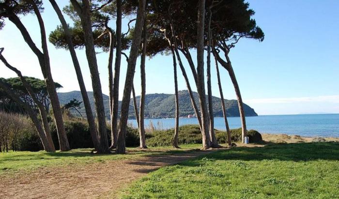monolocale a pochi minuti da BARATTI