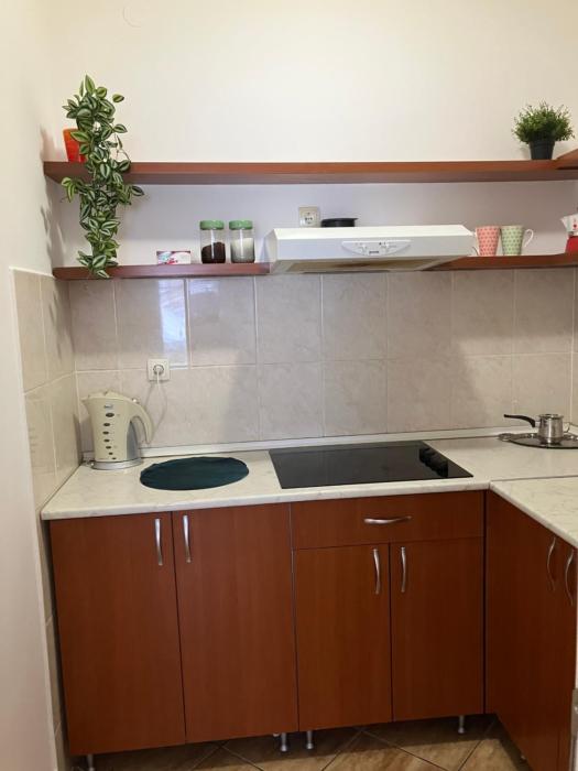 Nova Detelinara,Novi Sad