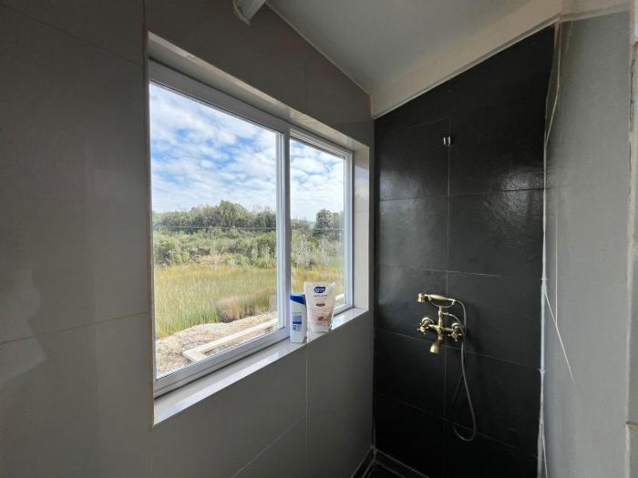 El cantar de las ranas